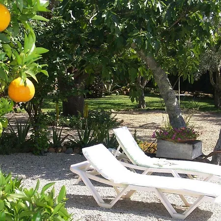Apartamento Semi Detached Houses Amaro Goncalves Alg01393 Lyb *